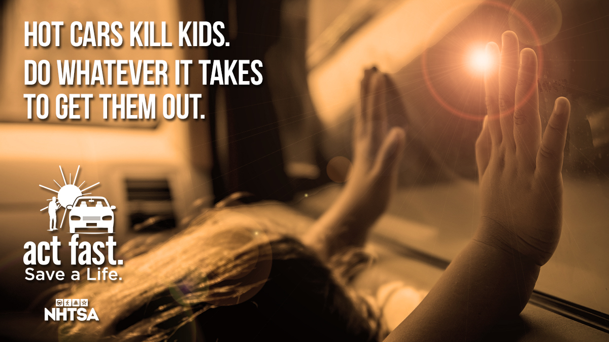 The Daly Download tweet media