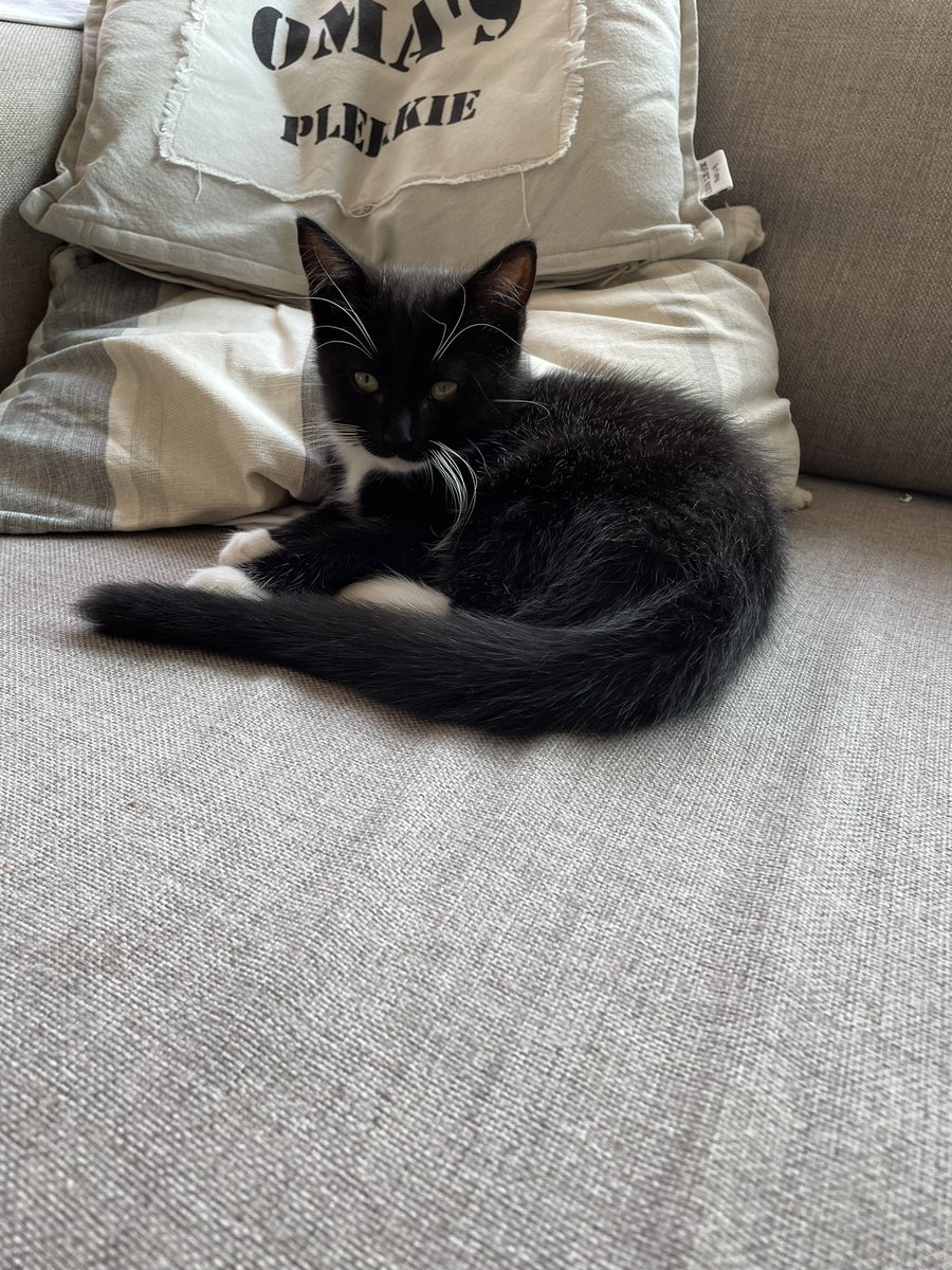 Jan-Luuk tweet media