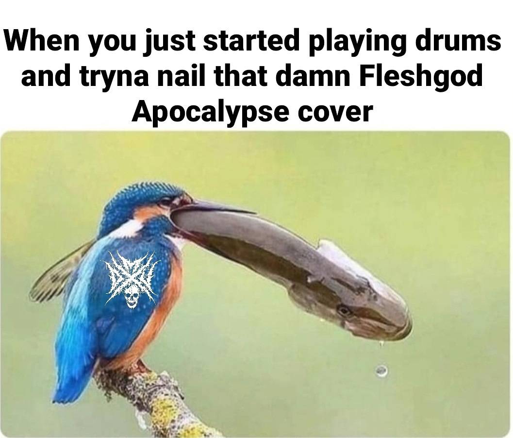 FApocalypse's tweet photo. Thanks to @metaldrummers_united for this🙏
#metaldrummer #extremedrummer #meme #humour #fleshgodapocalypse #symphonicdeathmetal #deathmetal https://t.co/684QXJQyxk
