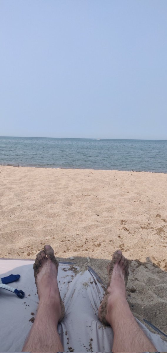 Dog whisperer tweet media