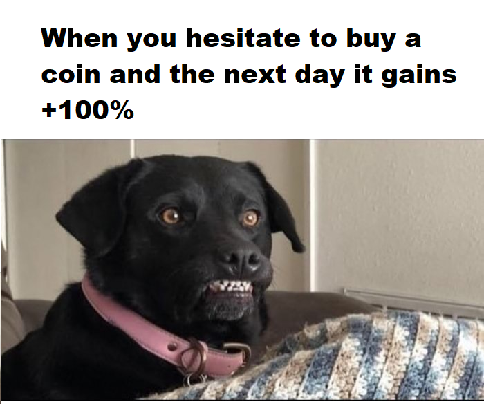 devikins_game's tweet photo. I think we've all had this moment. 😭

#crypto #cryptomemes #devikins #blockchaingaming #DVK https://t.co/hy1I9W1xgV