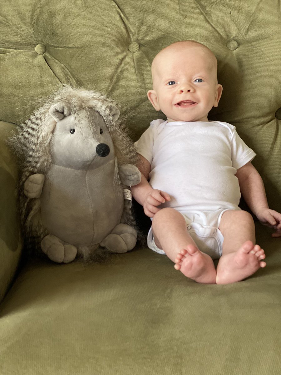 _MrsHalter's tweet image. I just can’t get over how cute this THREE month old is!!