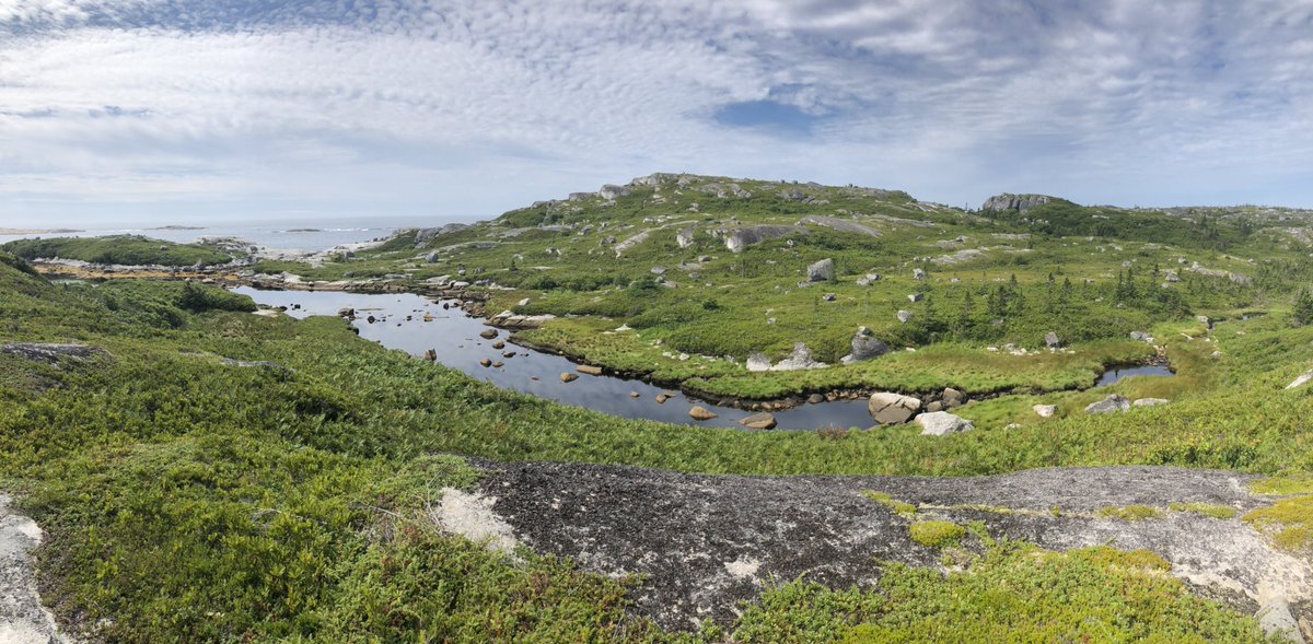 Another glorious day in beautiful Nova Scotia. #getoutside #saltair #explorens