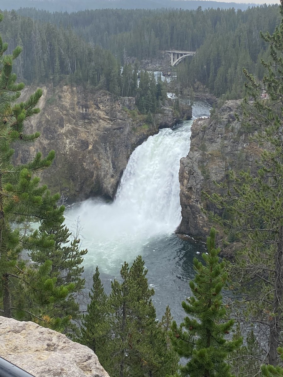 Knudhwk23's tweet photo. @jkoscielski Yellowstone 💙 https://t.co/RaZG5fqeRd