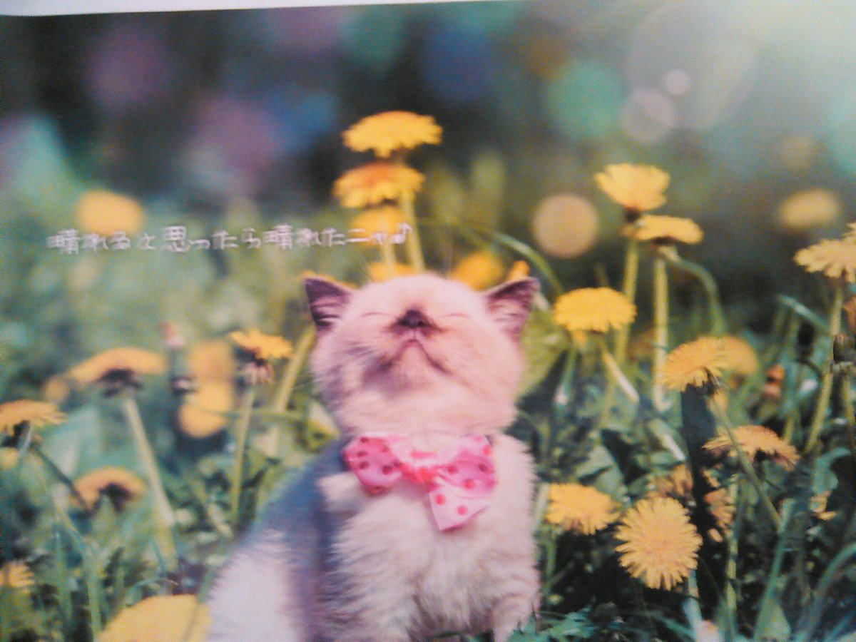 クリント イーストウッド Twitter Search