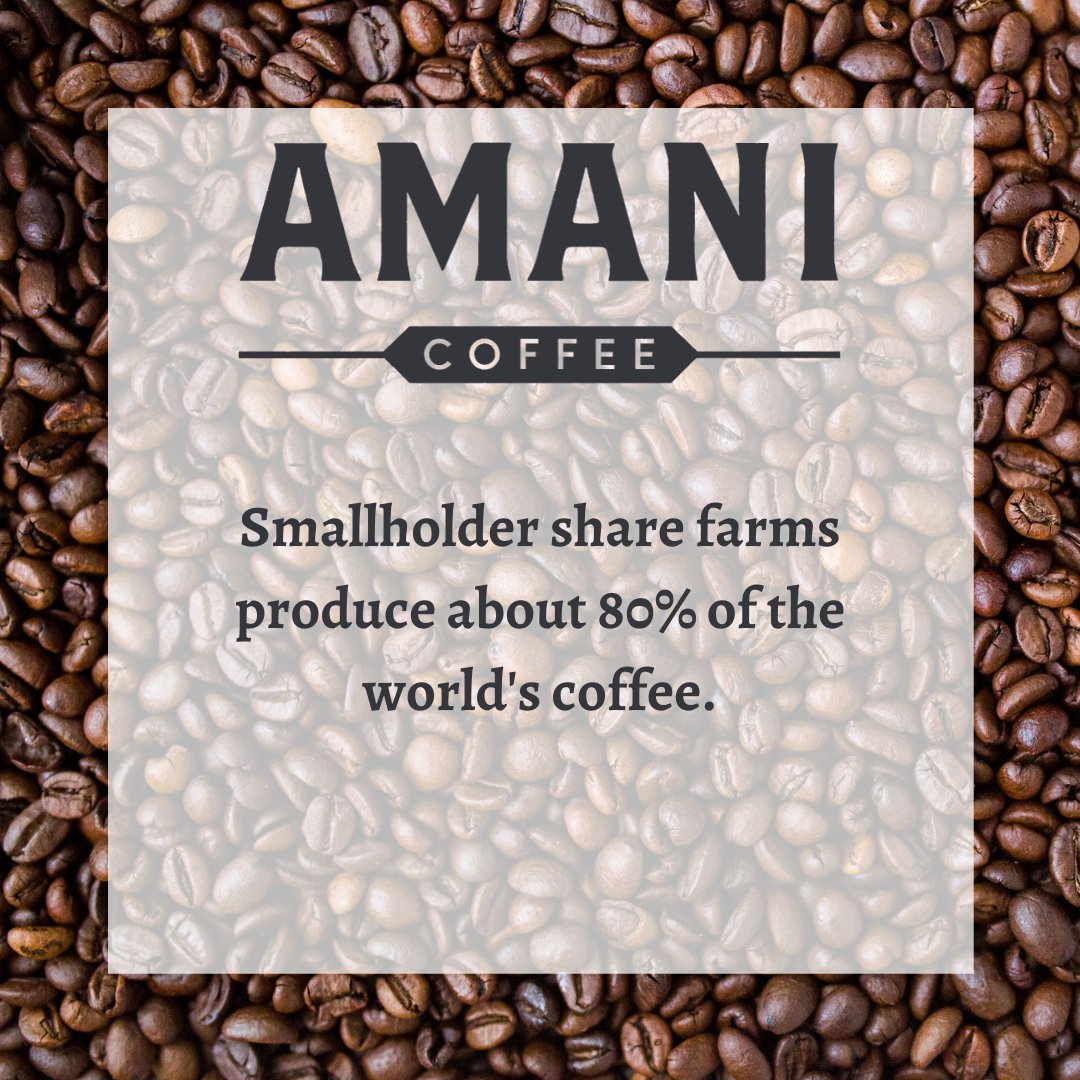 The majority of the world's coffee supply is produced by an estimated 25 million smallholder farms where most of the work - from harvesting, drying, and fermenting - is done by hand! 

#Amani #AmaniCoffeeCompany #business #coffeecompany
#peace #change #mission #pourpositivity