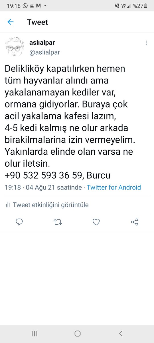 aslialpar's tweet photo. Ankaradan Deliklikoye yardıma gidecek ekip var mı bu akşam kedi yakalama kafesi verelim şu görseldeki ilan içn. https://t.co/cVdOoUua4a