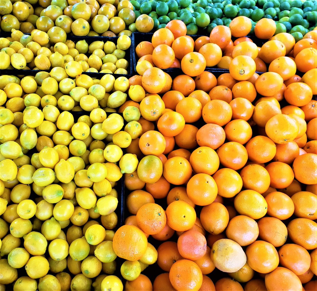 Real_ativity's tweet photo. ◾Here's our latest #RealativityFeaturedLocalBusiness as a part of our weekly #RealAtivityFeaturedNeighborhood, #BentCreek.
◾30 plus years in business, family-owned Rorabeck's Plants & Produce still offers the highest quality products at the best price.@RorabeckProduce https://t.co/WAagL4B2kS