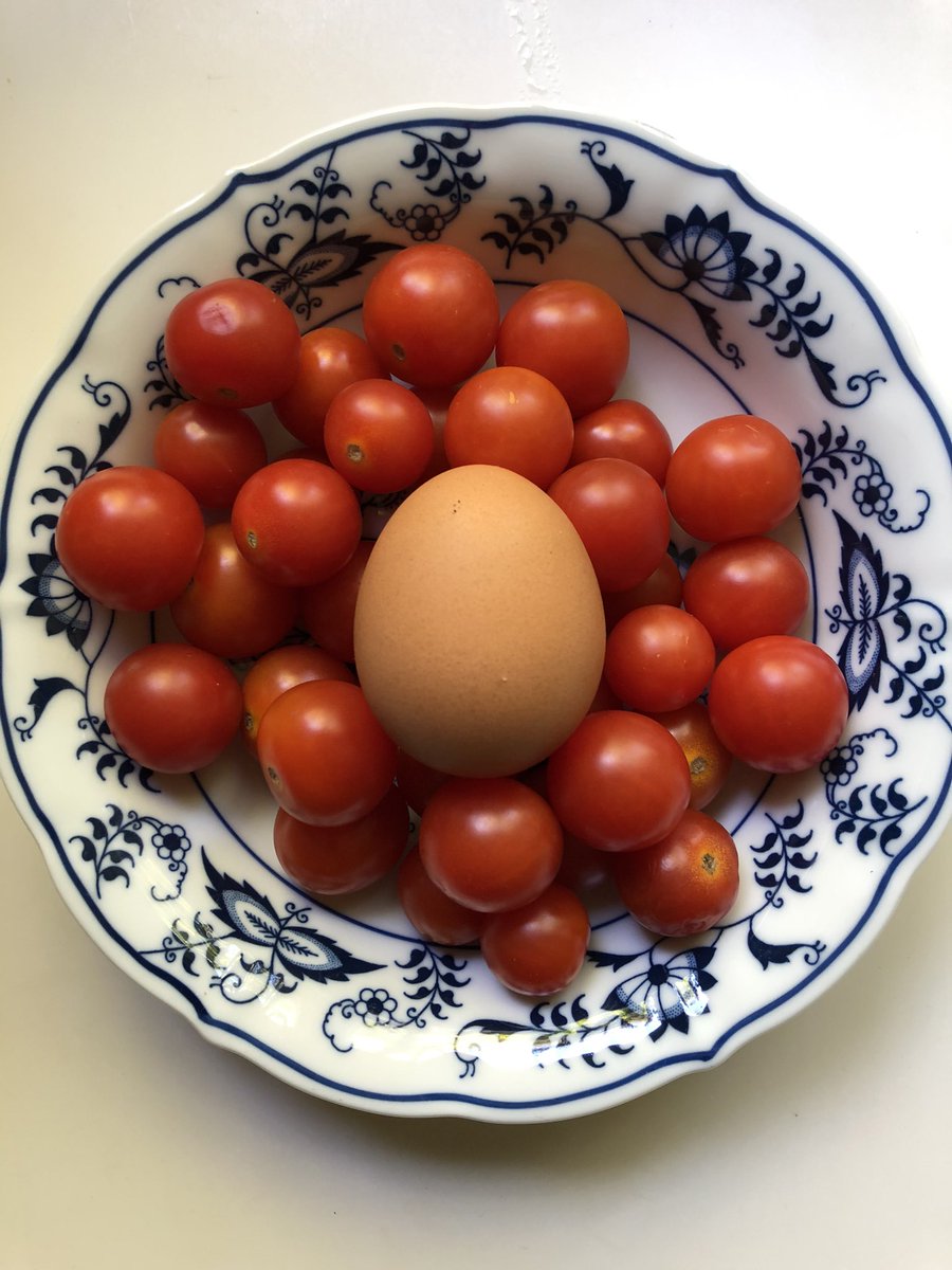 The egg, still life with cherry tomatoes.