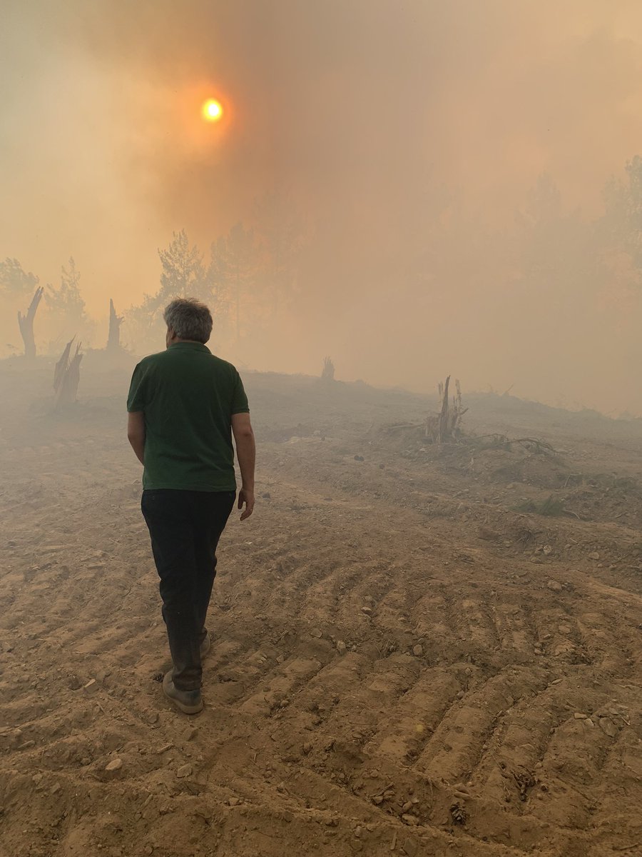 Ciğerlerimiz yandı. #MuğlaYANIYOR