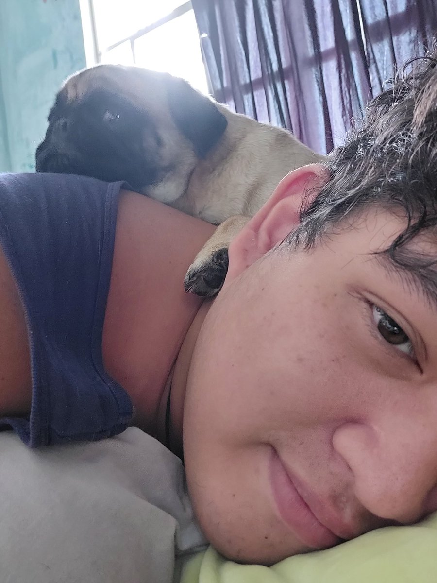 rexydoodle24's tweet photo. 🥰 https://t.co/Up1PYMf1sM