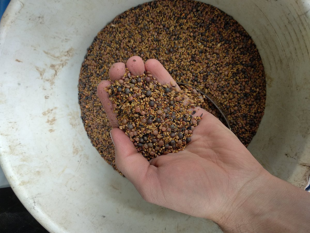 Adrien89 tweet media