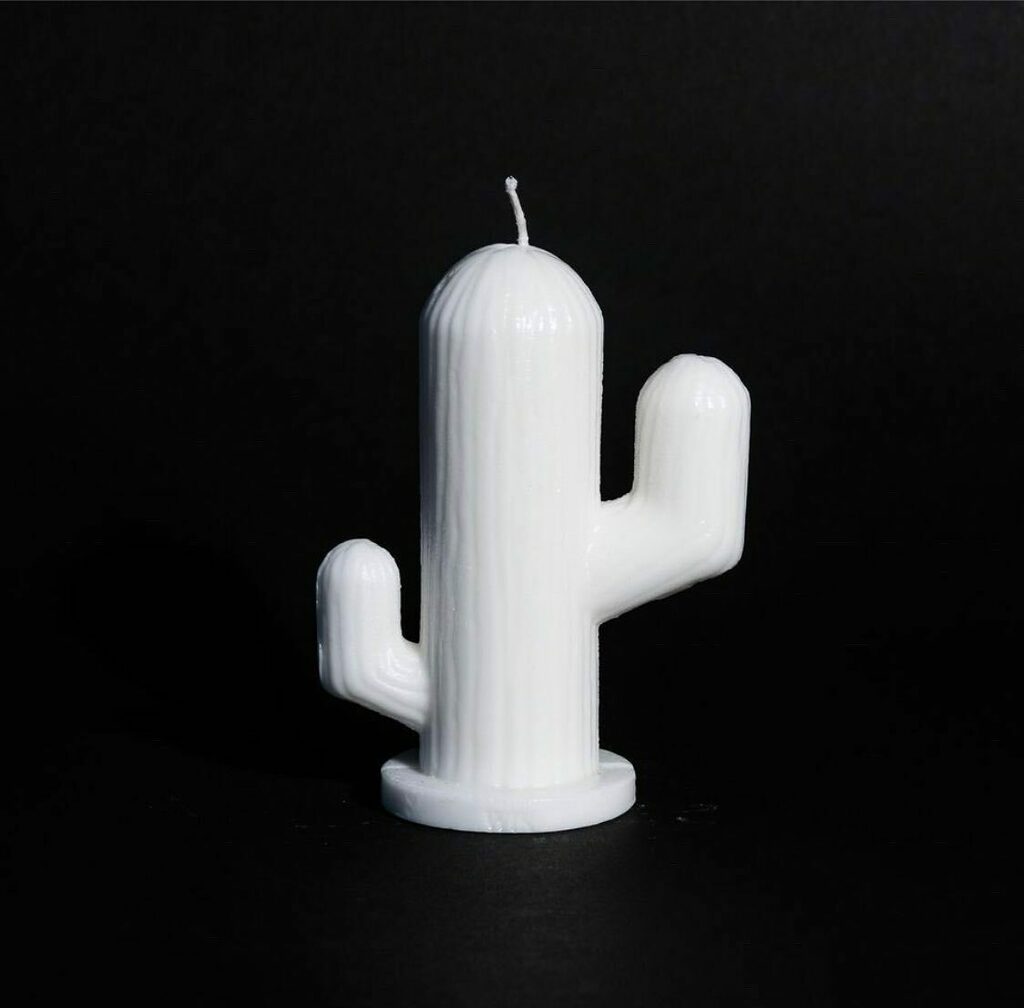 wickdecor's tweet photo. I’ll never desert you 🌵🕯🤍 https://t.co/IIVc6S34i4 https://t.co/Z77rnRBByX