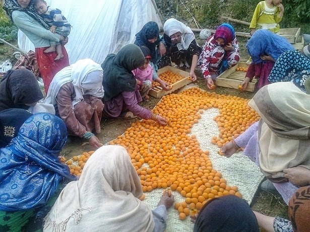 mujeres en Afganistan