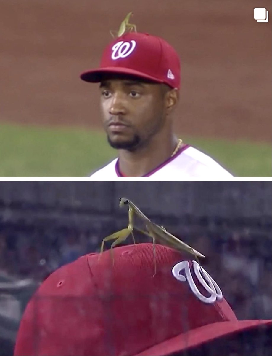 It’s Leo season ♌️