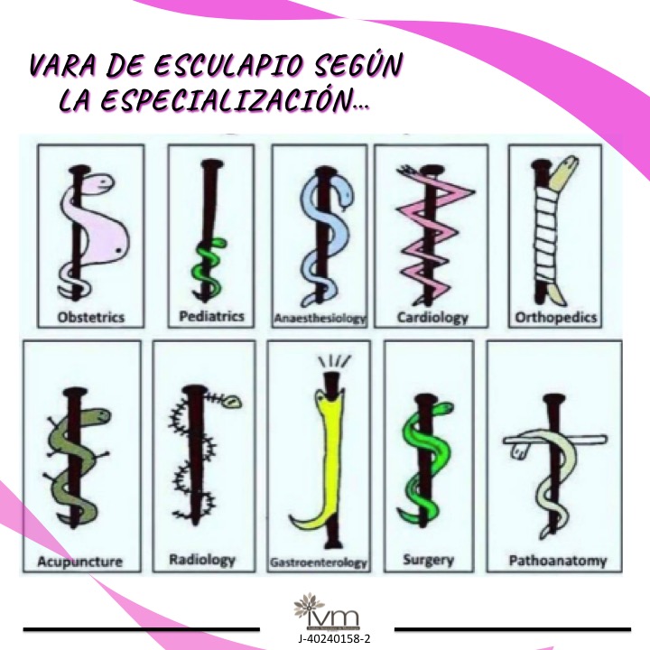 IVM on X: "¿Qué te parecen estas varas según la especialidad médica? # esculapio #medicina #varadeesculapio https://t.co/tXBkE35F1e" / X