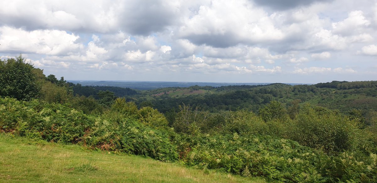 Col (Rtd) Angie Richardson tweet media