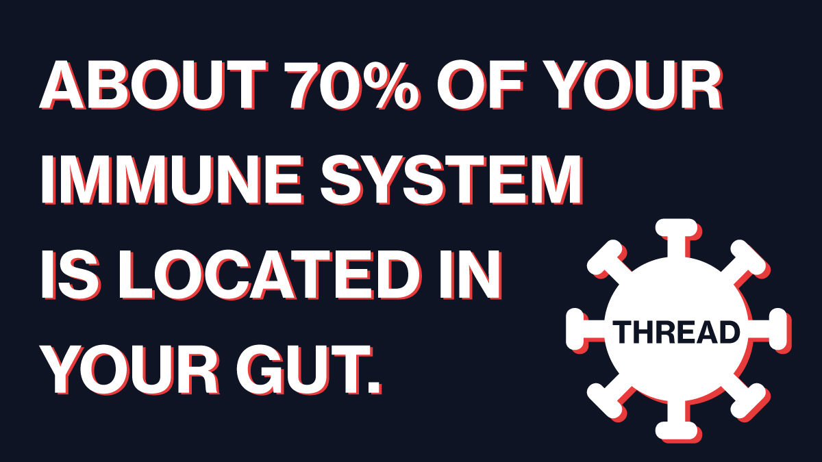MoldyBreadRatio's tweet photo. 1:/ About 70% of the immune system is housed in the gut. And yet, both our digestive and our immune systems were largely ignored within the last 1.5 years. In this short thread, I will tell you things the government won’t tell you. ⬇️ (1/24) https://t.co/NuhtsXT8st