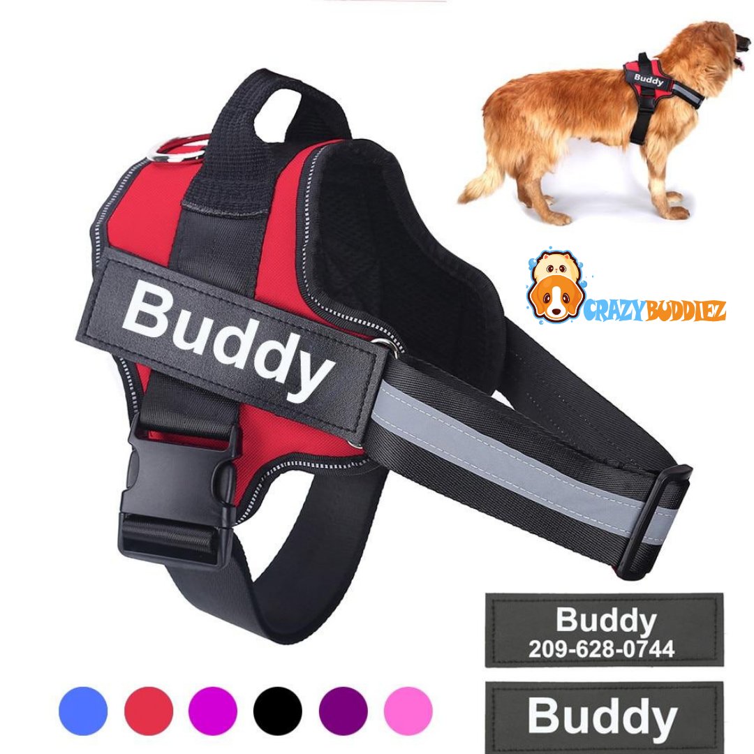 PERSONALIZED DOG HARNESS NO PULL REFLECTIVE BREATHABLE PET HARNESS FOR SMALL LARGE DOG HARNESS VEST WITH NAME CUSTOM PATCH.
crazybuddiez.com/collections/do…
#instagrampets #petsagram #petsofig #petoftheday #ilovemypet #petlife #instapet #petsgram #pet #petsofinstagram
