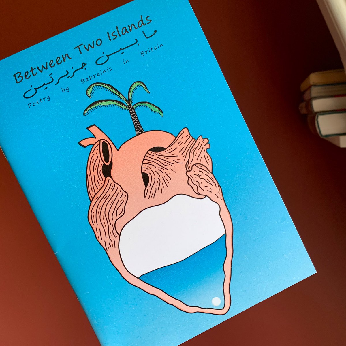 sophie_calon_'s tweet photo. I'd seen pictures but #BetweenTwoIslands is even more beautiful in the flesh (bonus to a recent reunion with @ali_mn_aljamri!) – a fantastic collection of bilingual poetry by Bahrainis in Britain to peruse during #WITMonth 🌴 https://t.co/UDlUIMBdd0