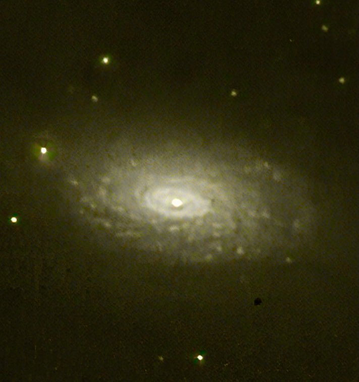 xipteras's tweet photo. Sunflowers 🌻 here 🌍 and there ✨#sunfower #galaxies #messier63 📸:@xipteras https://t.co/2TNvBY3YiK