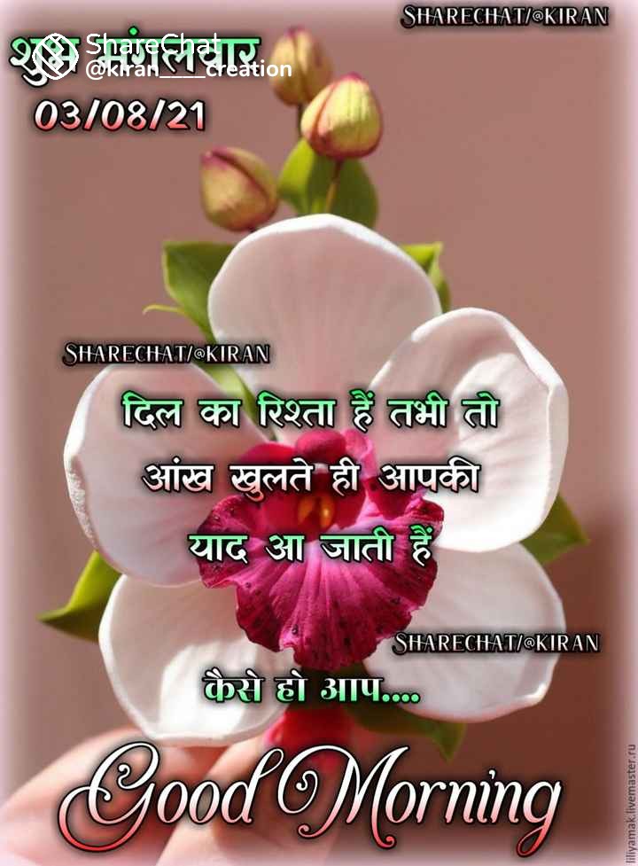      Happy birthday toyou kajol mem :g:m 