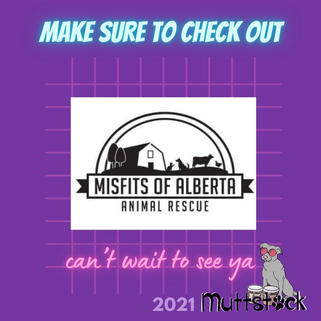 Muttstock tweet media