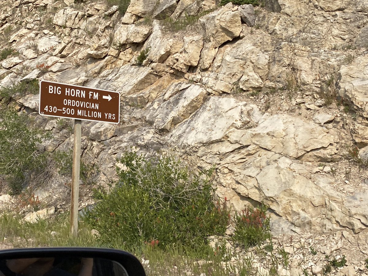 Emerson Lynch tweet media