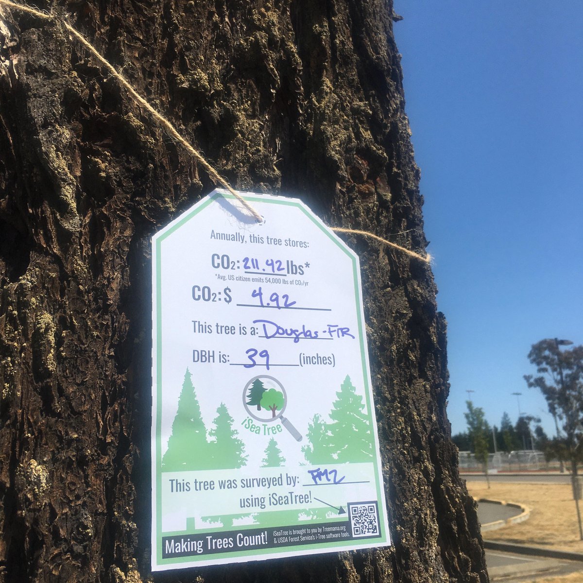 TreeMamaSEA's tweet image. Out enjoying the summer weather today? 

Why not take #iSeaTree along and post one of our new ‘Tree Tag’s’ (link below - and make sure you follow our posting guidelines)! #MakingTreesCount

Link here:
tinyurl.com/ydxpf7db