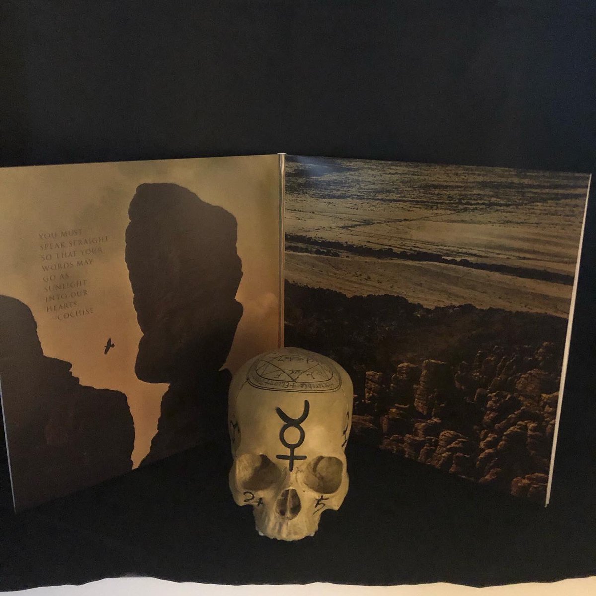 canyondoom's tweet photo. It’s been a long journey, but the vinyl edition of Sims of the Past is finally out now. We have partnered with @Bucketoblood for all online sales. Copies are also available in store. https://t.co/vs0SPFShO4 https://t.co/AXVWZBkvkr