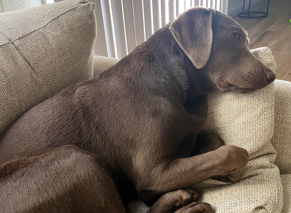 I haven’t seen my baby in a month and it makes me so sad to think about how grown up she’s going to be when we pick her up from training next week 😩