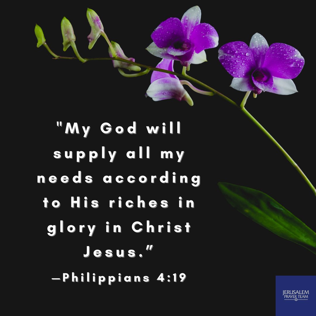 jerusalemprayer's tweet image. The Lord knows what you need even before you ask. Trust Him. 

"My God will supply all my needs according to His riches in glory in Christ Jesus.”
—Philippians 4:19

#SeekHim #Matthew6v33 #Believe #AskSeekKnock