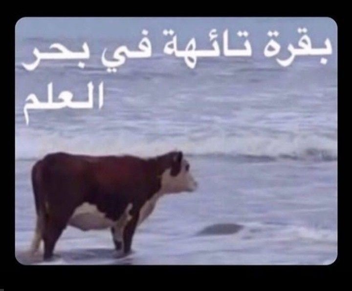 na_do_20's tweet photo. #الجامعيون_يستغيثون_بالله
🙂 نبيل رصانة وهو يدور ع رصانة 🤡✋ https://t.co/F1xhGqpLci