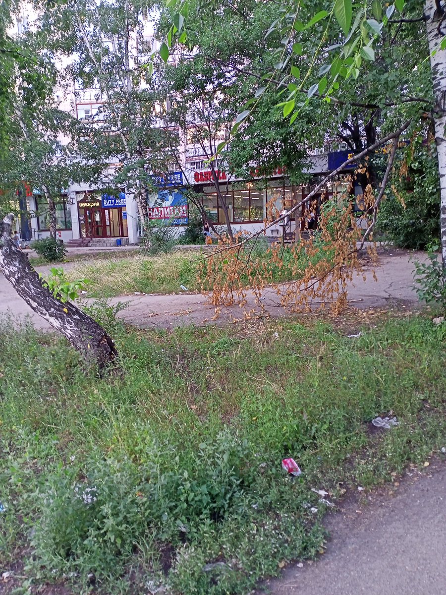 Светлана Лусис on Twitter: \"Косят траву там где ее нет( по земле,по ...