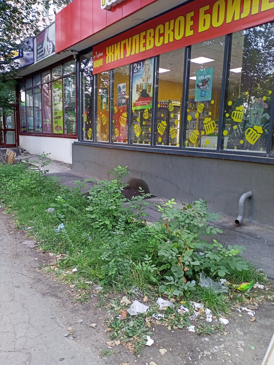 Светлана Лусис on Twitter: \"Косят траву там где ее нет( по земле,по ...