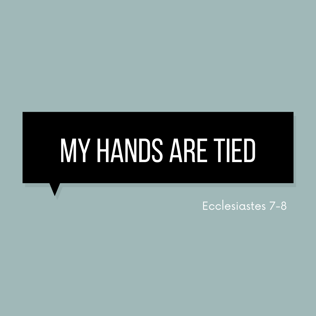 GraceHarborPVD's tweet photo. Join us Sunday at 10AM! https://t.co/ZktvxdNPCn