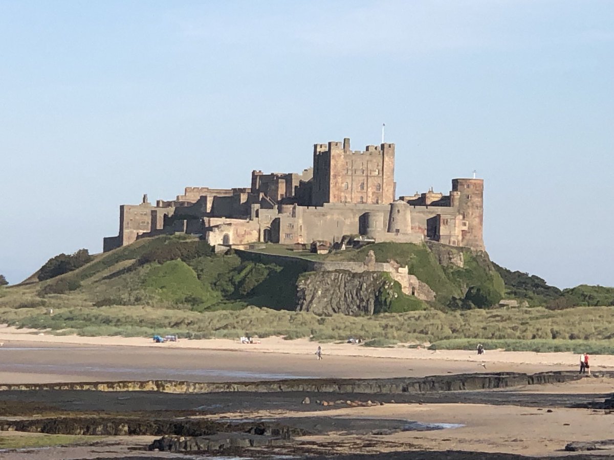 James Laycock tweet media