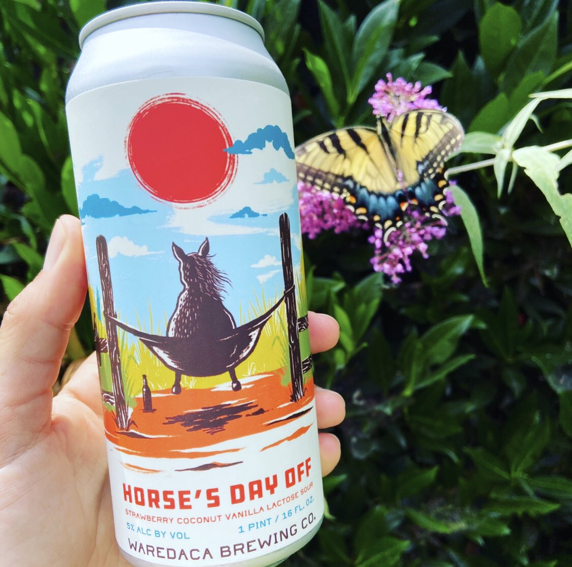 Horse’s Day Off Strawberry Daquiri Sour 5%

What’s a horse to do on their day off? Chill with a fruity summer drink! Conditioned on strawberries, toasted coconut, &amp; vanilla; it has just the right amount of sweetness from added lactose.  
Weekend details:
orderwaredaca.com