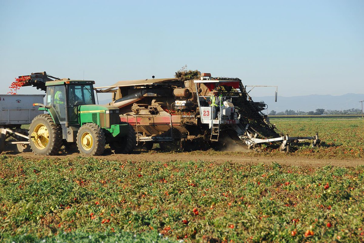 Yolo County Farm Bureau tweet media