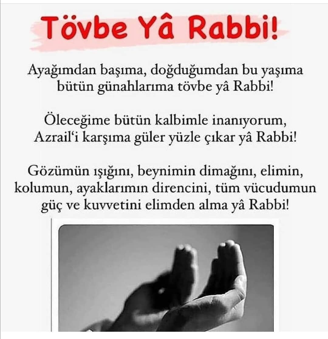 MLTdetay's tweet photo. Günün Dua'sı... 🤲

@ayetthadisdua

#DuamBelliDuyanBelli Allah Rahmet Eylesin Allah'ım #HayırlıCumalar #TurgayYıldız #gedson #belhanda https://t.co/0nDKtWVge4