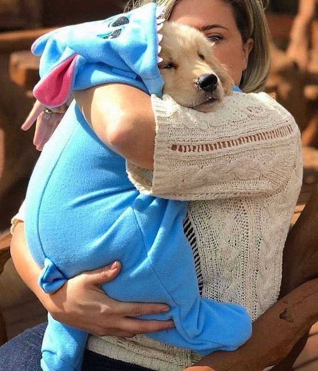 Punjiipet's tweet photo. Omg what a lovely hug

post credit:@Pets Lover
.
.
#doglife #doglovers #pet #Punjiilife #pets #doggo #instagram 
#dogstagram #instadog #cute #dogoftheday #love #doglover 
#huffpostgram #weeklyfluff #buzzfeedanimals #corgistagram #petsofinstagr
#Punjiioftheday #Punjiigram https://t.co/BQVyGlyROc