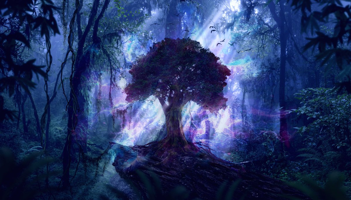 JaredGDelta's tweet image. I just began a new story on Amazon's Kindle Vella service! Read the first episode of The Tree of Arcana for free!
amazon.com/kindle-vella/p…

#amwriting #newrelease #fiction #mystical #fantasy