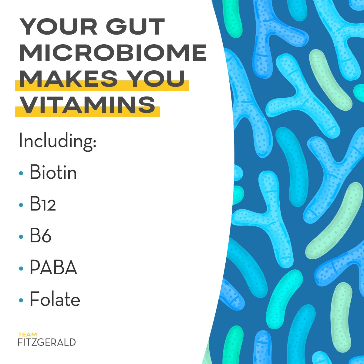 Dr. Kara Fitzgerald on Twitter "There are only two lowrisk, highgain