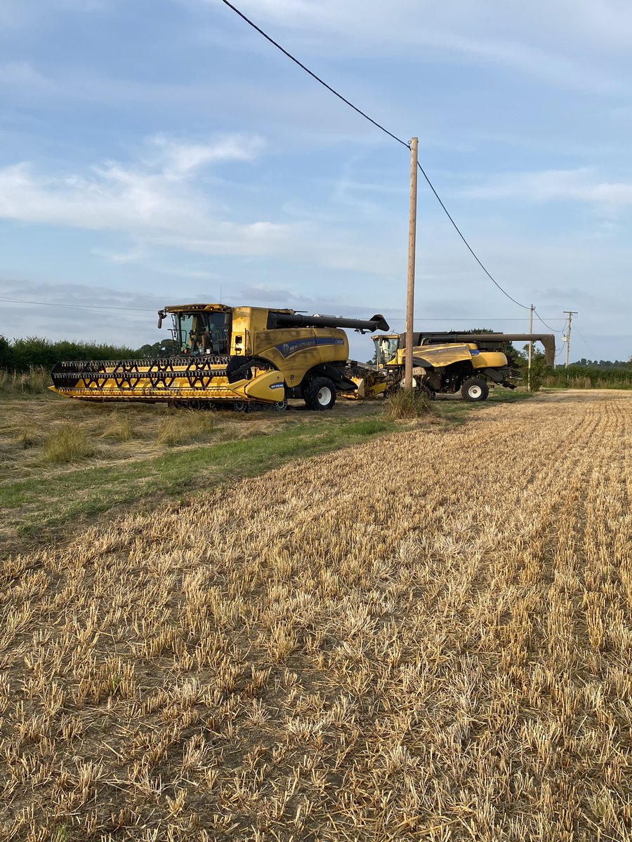 Thank you <a href="/RoryClark_/">Rory Clark</a> for the hand. Looking forward to repaying the favour. #workingwithyourneighbours #igetbywithalittlehelpfrommyfriends