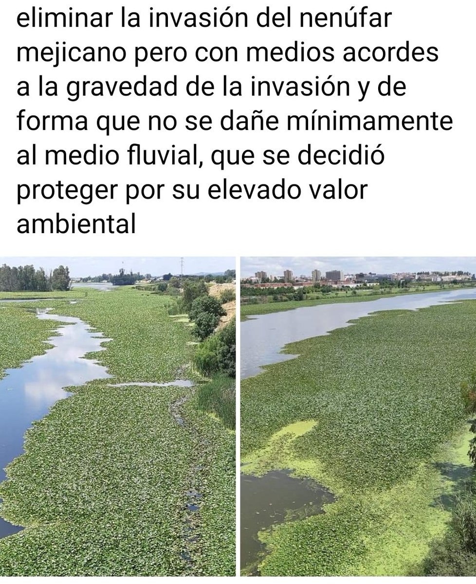 EcologistasEx's tweet photo. @CH_Guadiana @EcologistasEx @GFVara @sanchezcastejon @EU_Commission @Europarl_PT @ionebelarra https://t.co/Rs1h1iE0iH