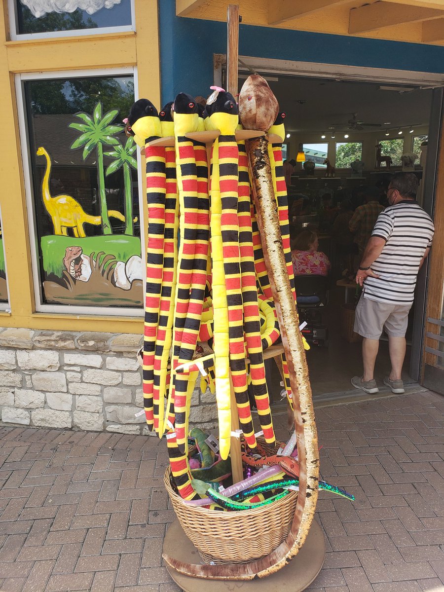 Ringingrocker's tweet image. @JennyENicholson please advise on this San Antonio snake rack