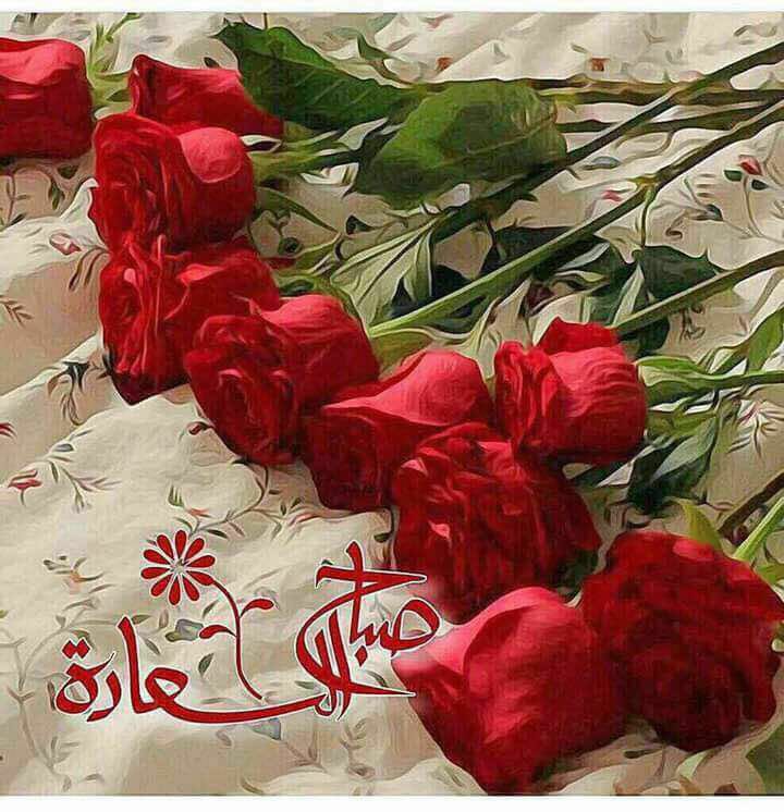 مساء جميل لكل الحبايب وكل عام وانتم بخير