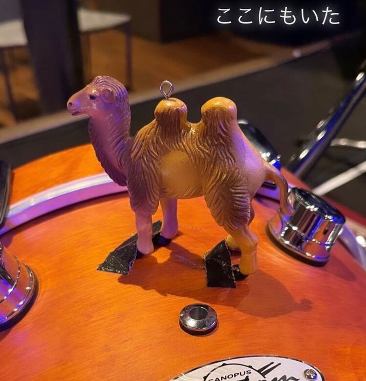 692_919's tweet photo. @guita_rei マホガ3 ありがとう。感想/記憶メモ... #マホガ
“Reiとさくら” のReiny Friday 楽しみにしています。。

≪マホガ3 の記憶≫
#Rei #マホガ #HoneyRei #guita_rei #gibson #Fender
https://t.co/LDdi4NkPWV
.
マホガ1、2などはこちら、よろしければこちらも。
https://t.co/3tHotWPAK7 https://t.co/4OmT2h4Qcu