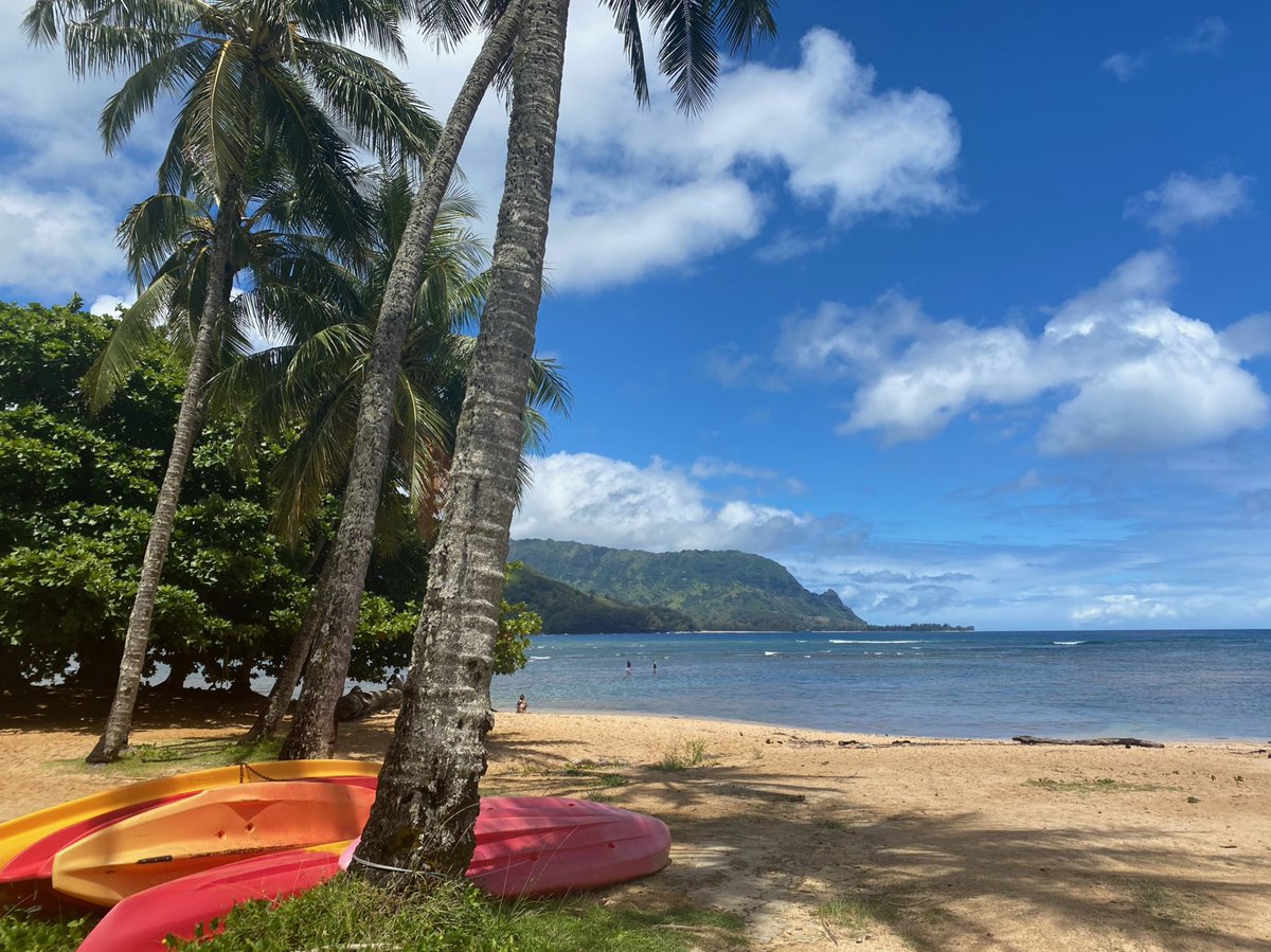 kpconrad's tweet photo. Time with family, sea turtles, Hawaiian reef fish and incredible scenery. Just what’s needed after a long year! #takeavacation https://t.co/seZKntnhrr