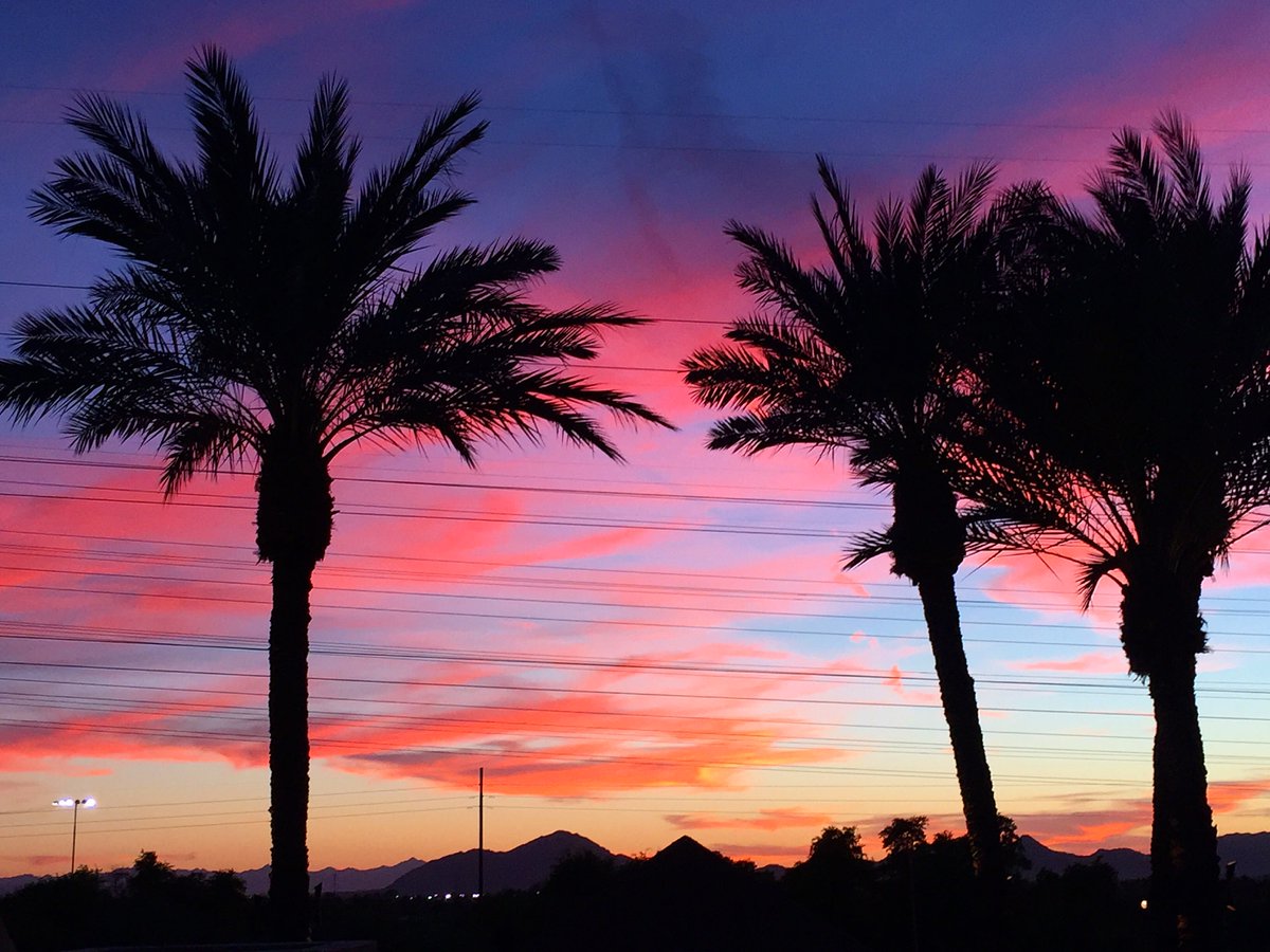 SkyAncala's tweet photo. Check out the Sky Lounge to view some gorgeous Scottsdale sunsets! https://t.co/AY1D6ithvl